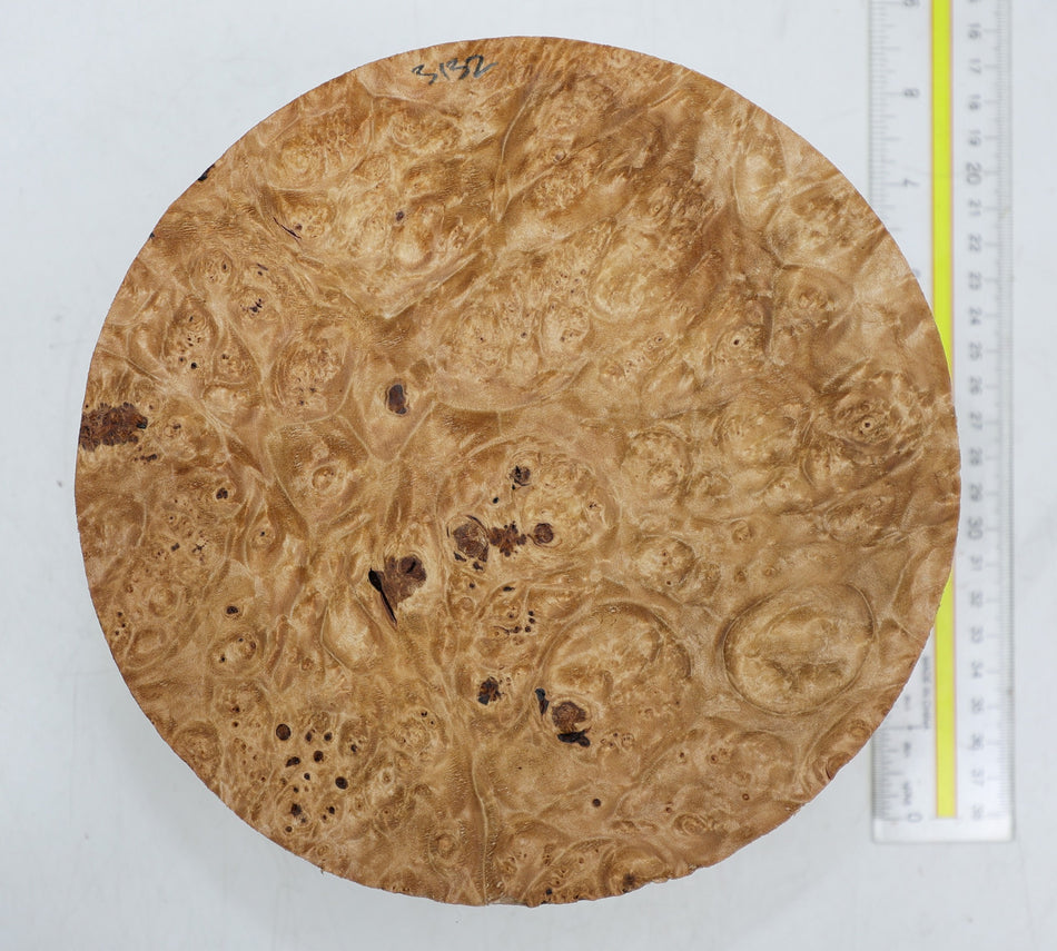 Maple Burl Round 8" diameter x 3.3" (PREMIUM FIGURE) - Stock# 6-3132
