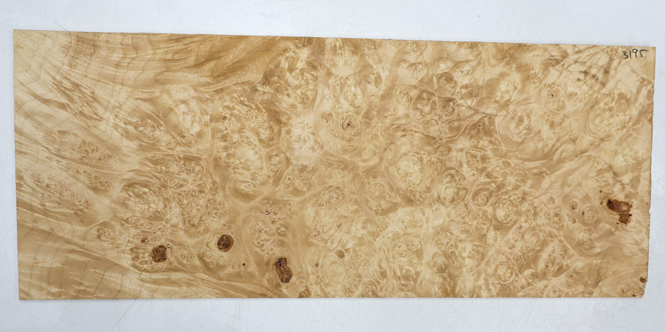 Maple Burl Block, 0.22" x 7.3" x 18" (HIGH FIGURE) - Stock# 6-3195