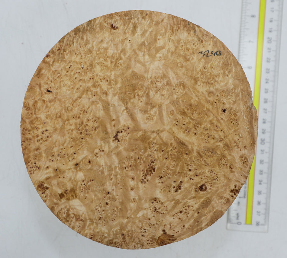 Maple Burl Round 7" diameter x 4.25" (HIGH FIGURE) - Stock# 6-3240