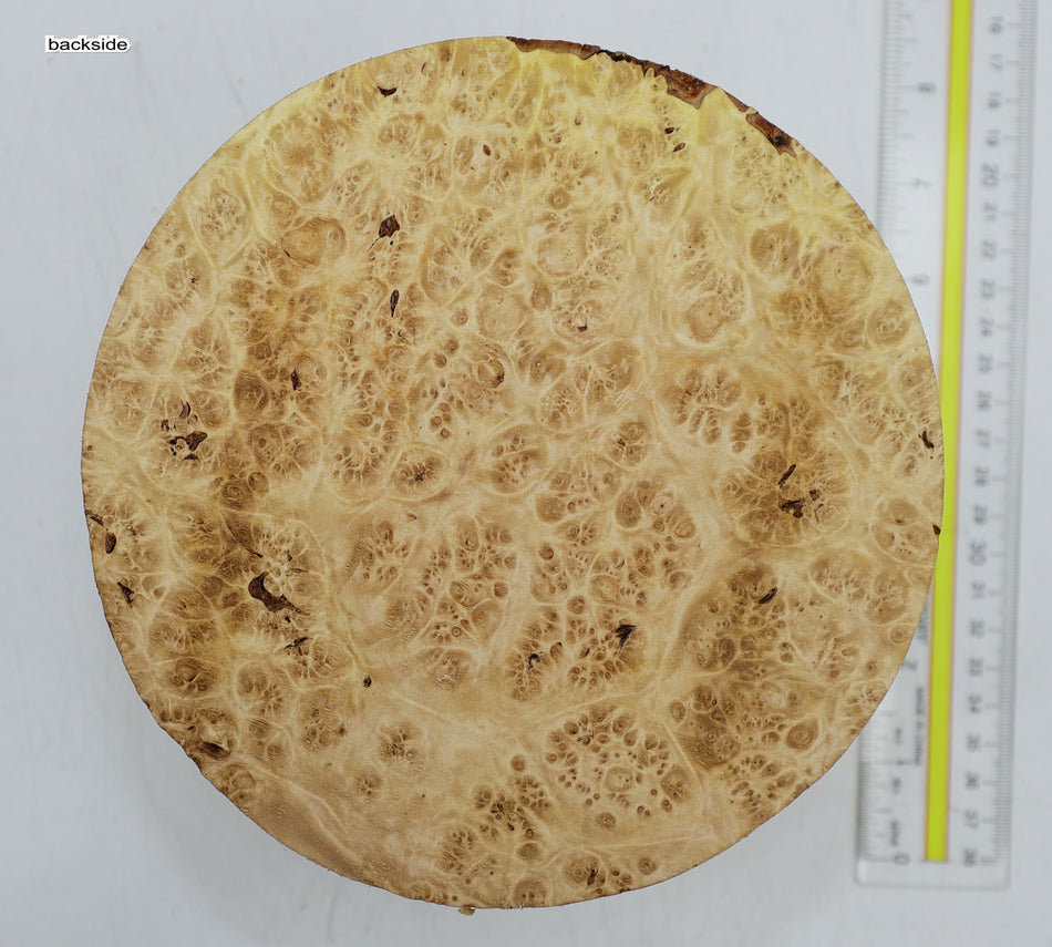 Maple Burl Round 7" diameter x 4.25" (HIGH FIGURE) - Stock# 6-3240