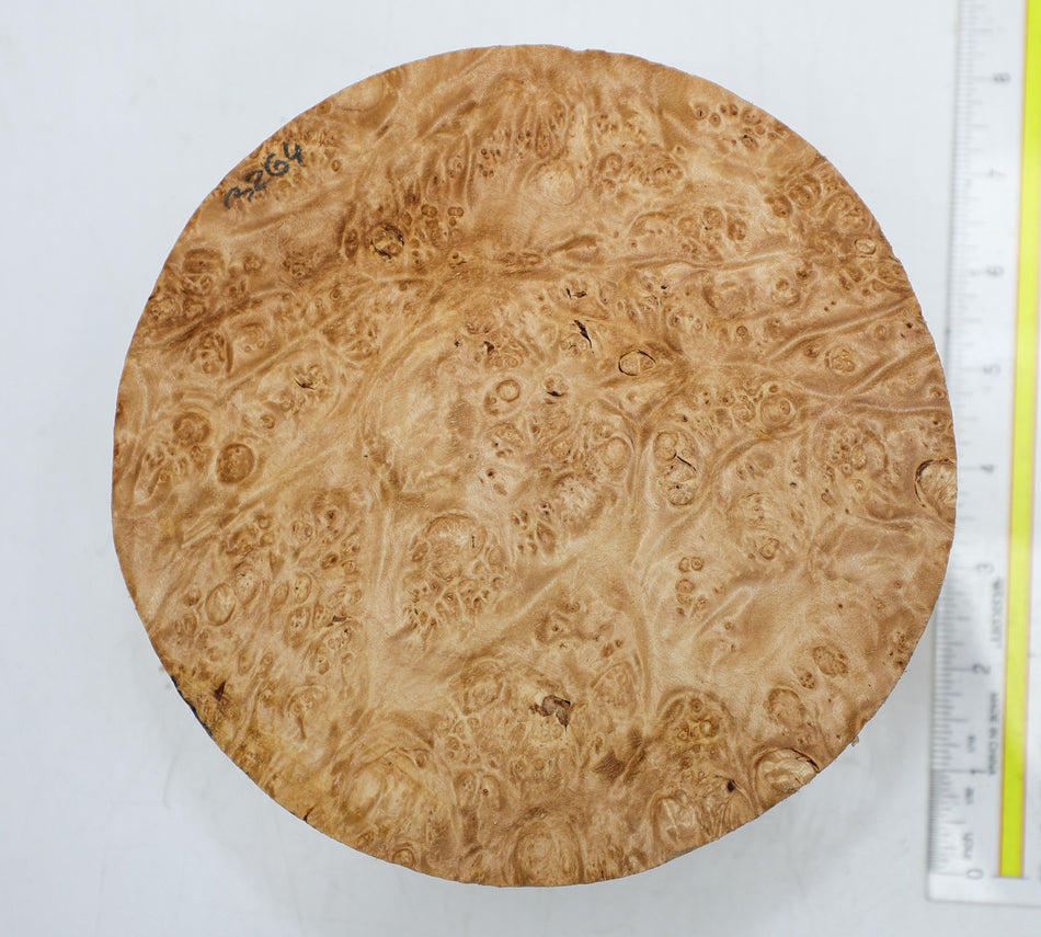 Maple Burl Round 7" diameter x 3.3" (PREMIUM FIGURE) - Stock# 6-3264