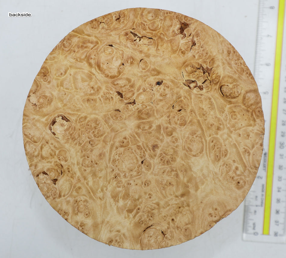 Maple Burl Round 7" diameter x 3.3" (PREMIUM FIGURE) - Stock# 6-3264