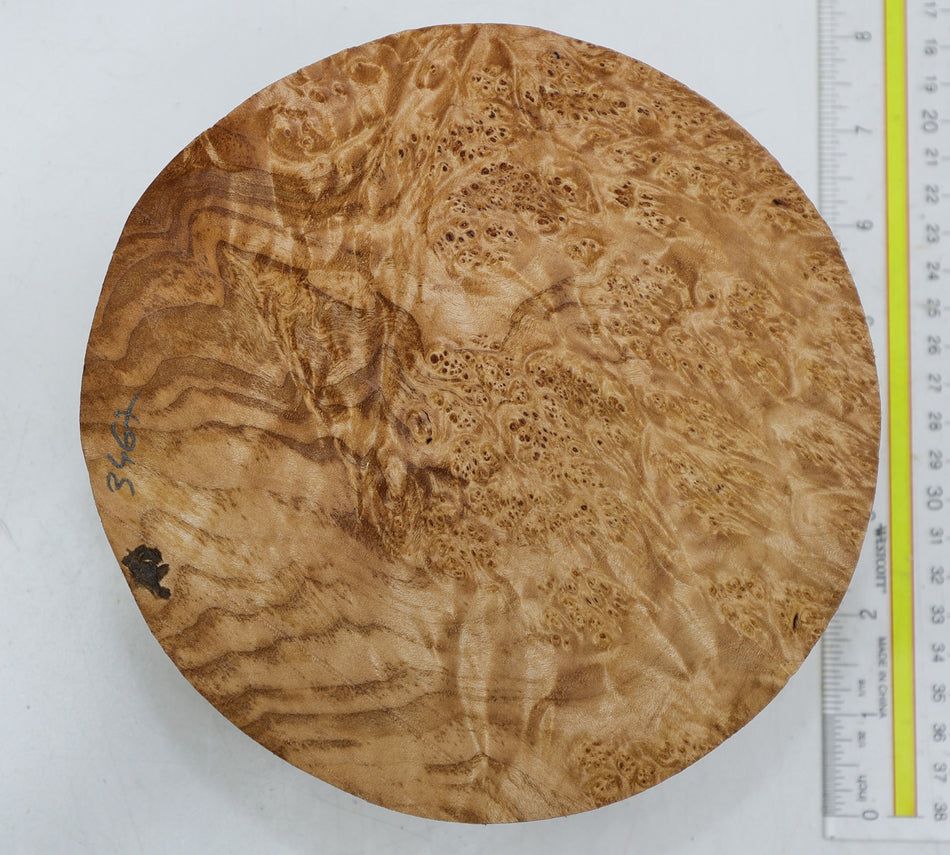 Maple Burl Round 7" diameter x 2.5" (HIGH FIGURE) - Stock# 6-3467