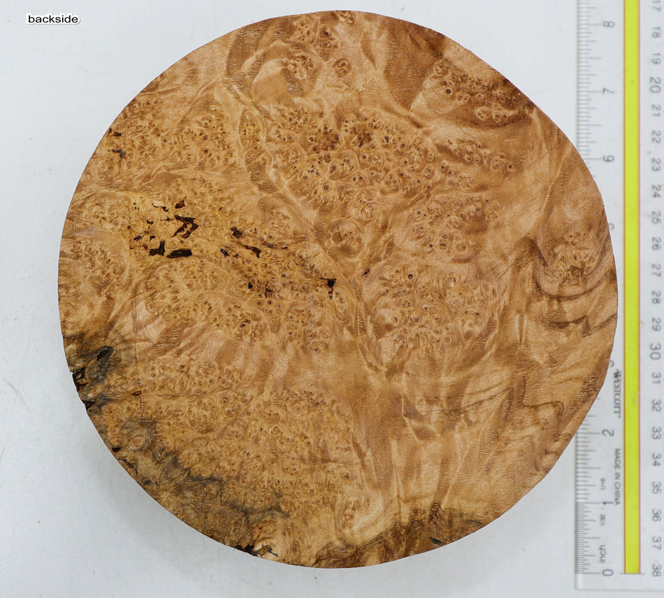 Maple Burl Round 7" diameter x 2.5" (HIGH FIGURE) - Stock# 6-3467