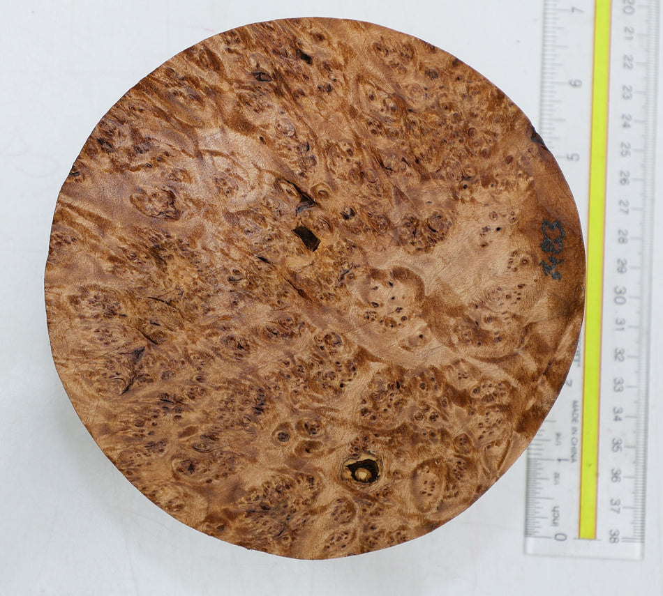 Maple Burl Round 6" diameter x 2.5" (HIGH FIGURE) - Stock# 6-3483