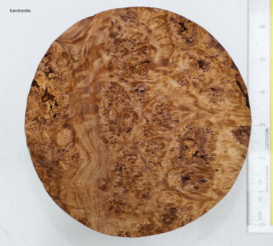 Maple Burl Round 6" diameter x 2.5" (HIGH FIGURE) - Stock# 6-3483