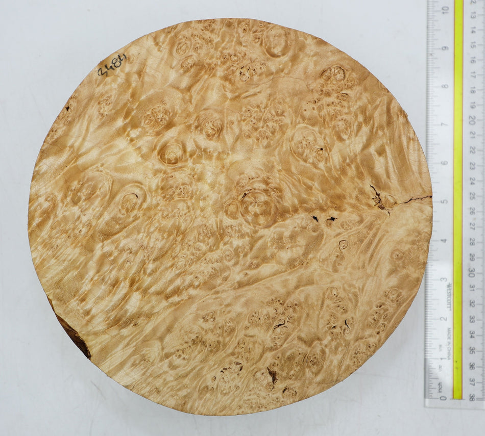 Maple Burl Round 9" diameter x 3.5" (PREMIUM FIGURE) - Stock# 6-3484