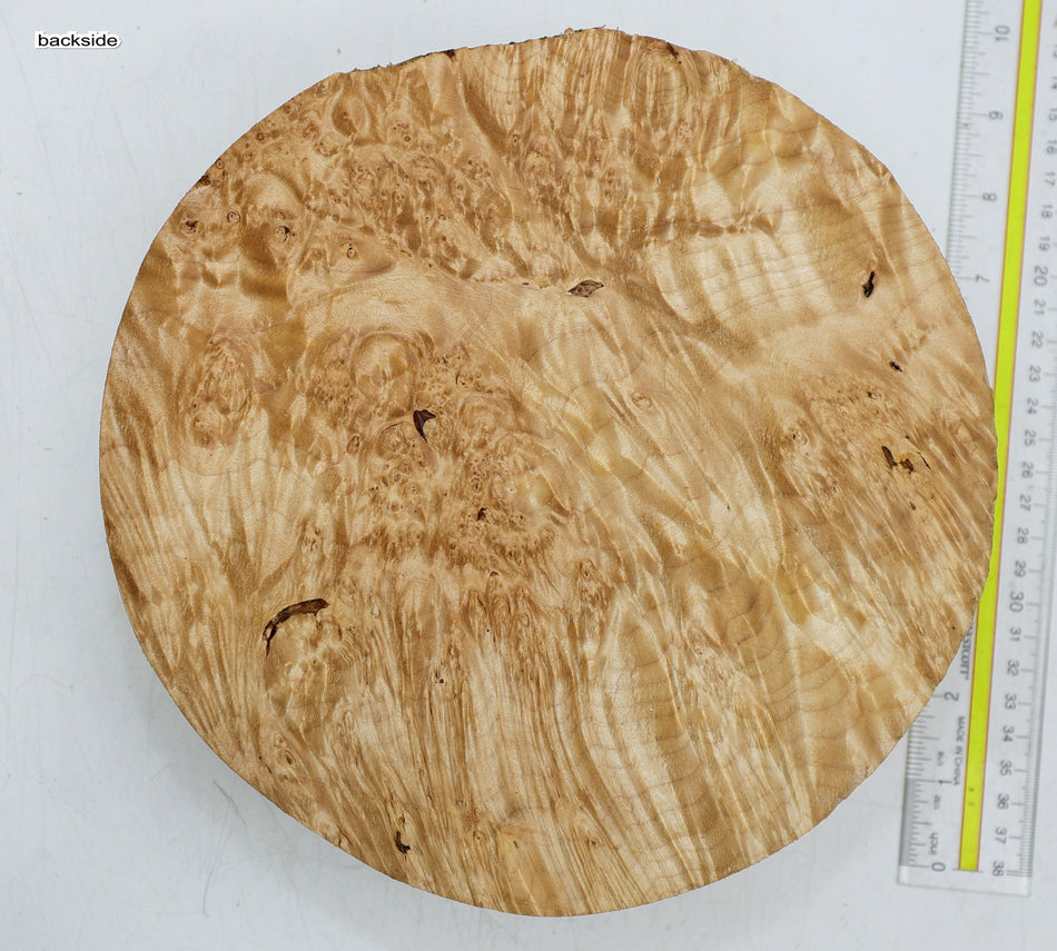 Maple Burl Round 9" diameter x 3.5" (PREMIUM FIGURE) - Stock# 6-3484