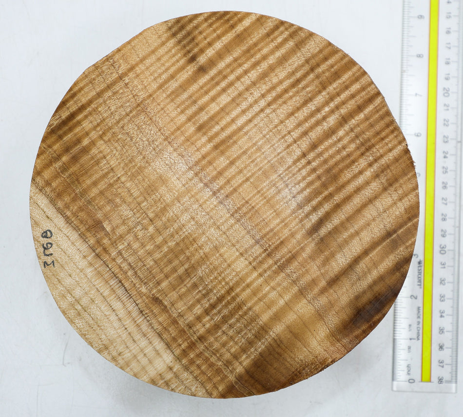 Maple Flame Round 8" diameter x 2.8" (HIGH FIGURE) - Stock# 6-3568