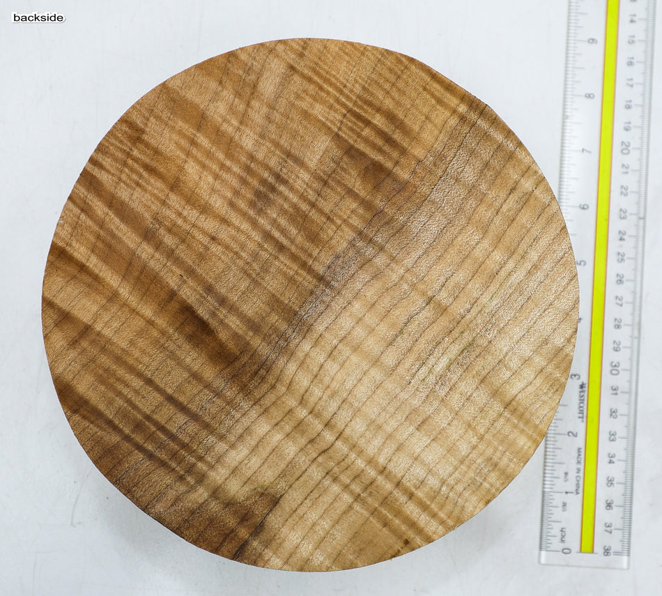 Maple Flame Round 8" diameter x 2.8" (HIGH FIGURE) - Stock# 6-3568