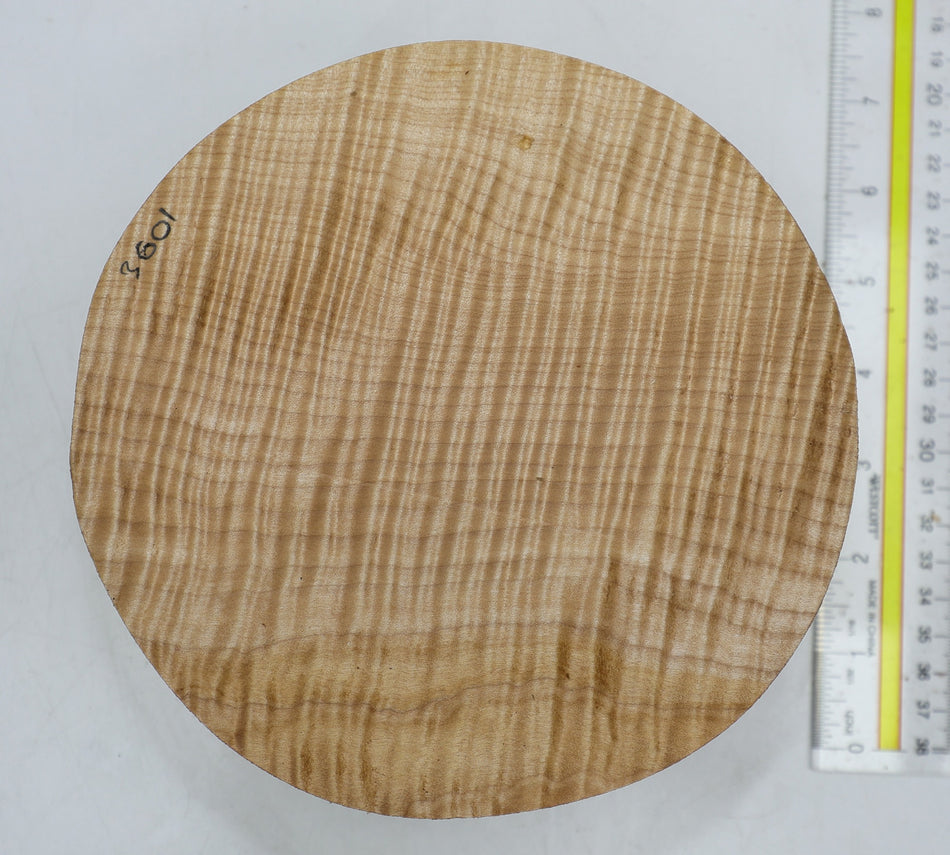 Maple Flame Round 7" diameter x 3" (PREMIUM FIGURE) - Stock# 6-3601