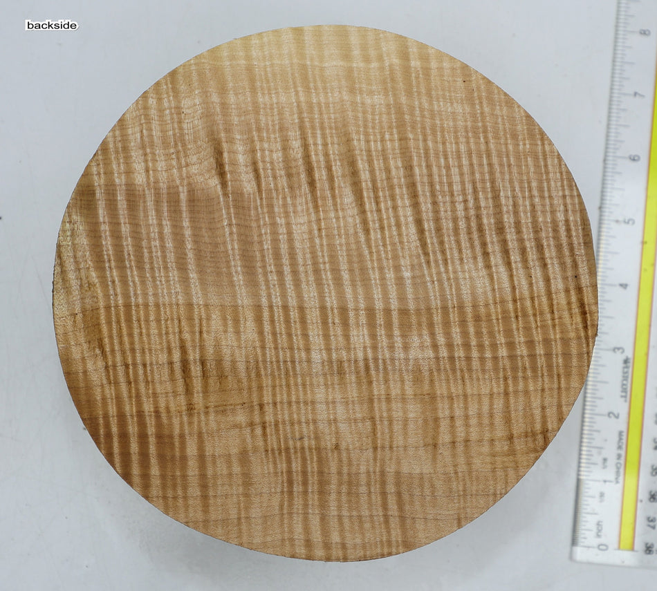 Maple Flame Round 7" diameter x 3" (PREMIUM FIGURE) - Stock# 6-3601