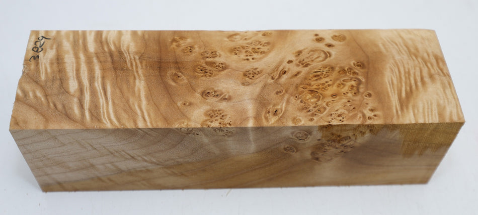 Maple Burl Spindle Square 2.75" x 9.5" long (GREAT FIGURE) - Stock# 6-3829