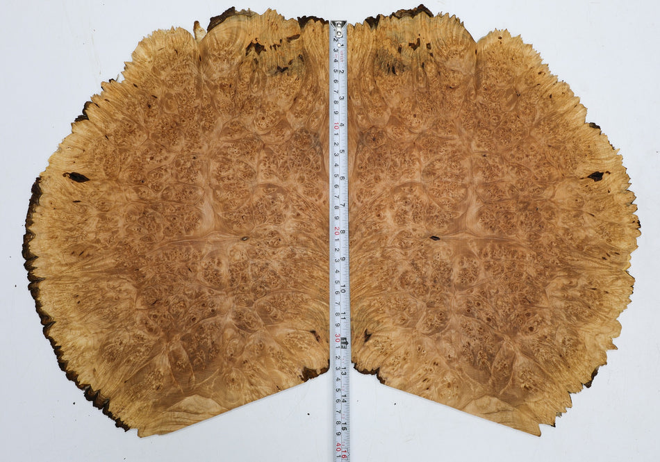 Maple Burl, 2 pieces 0.31" x 11" x 15" each (PREMIUM FIGURE, Live Edge) - Stock# 6-3874