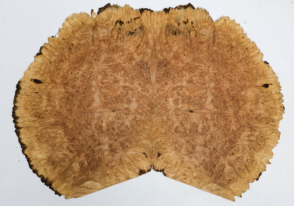Maple Burl, 2 pieces 0.31" x 11" x 15" each (PREMIUM FIGURE, Live Edge) - Stock# 6-3874
