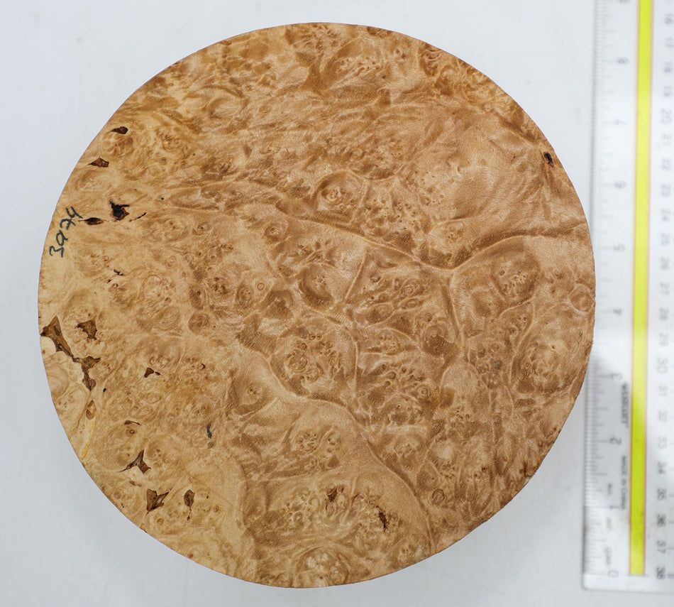 Maple Burl Round 7" diameter x 3.5" (HIGH FIGURE) - Stock# 6-3974