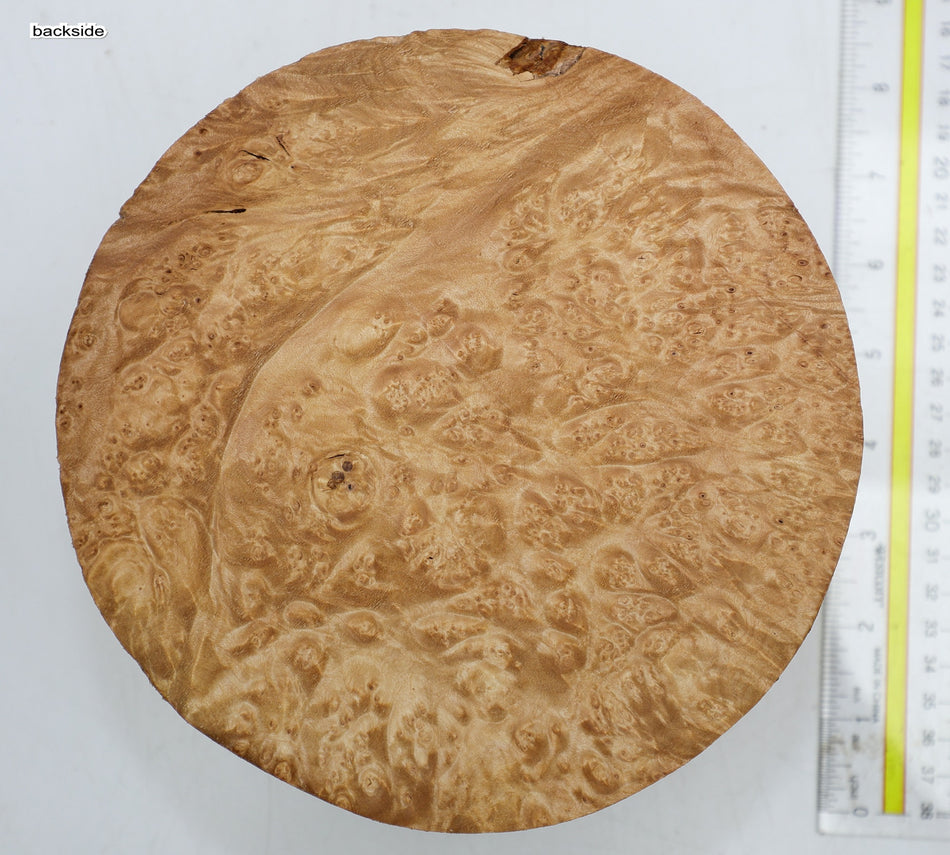 Maple Burl Round 7" diameter x 3.5" (HIGH FIGURE) - Stock# 6-3974