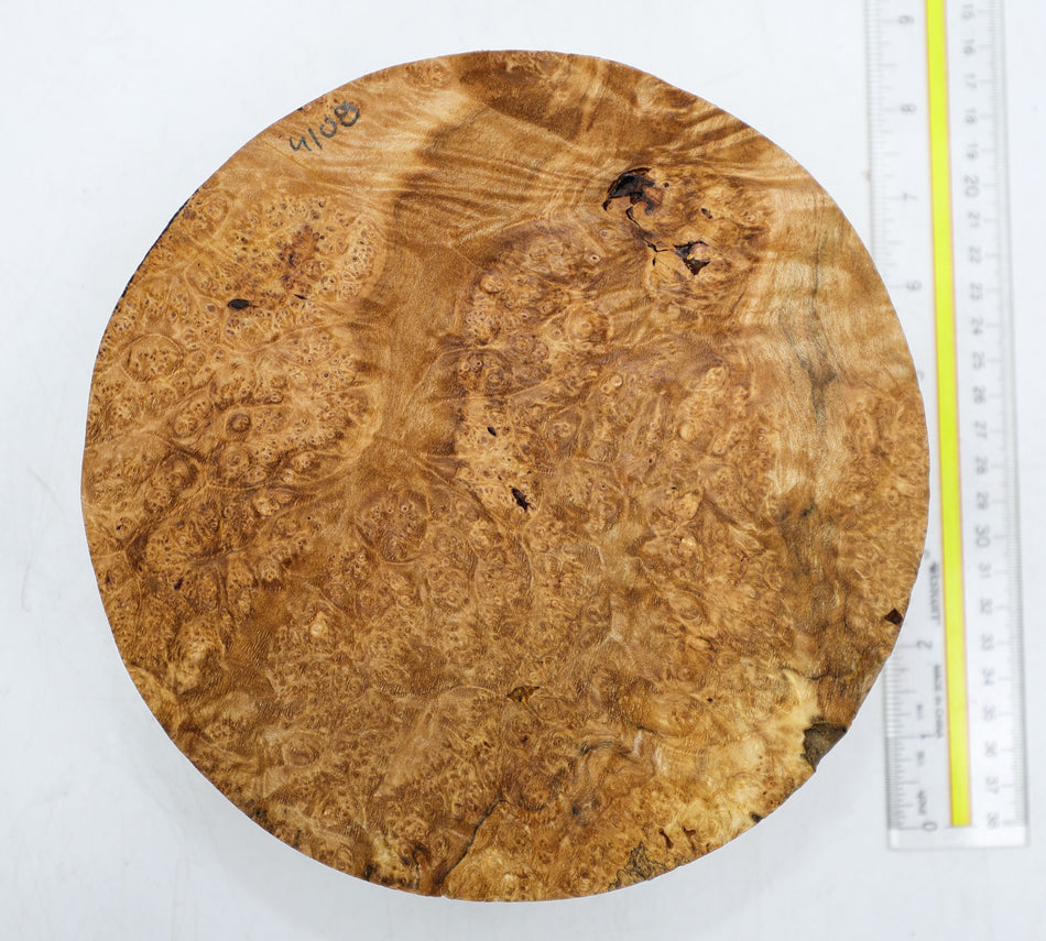 Burl Round 8" diameter x 2.75" (HIGH FIGURE) - Stock# 6-4108