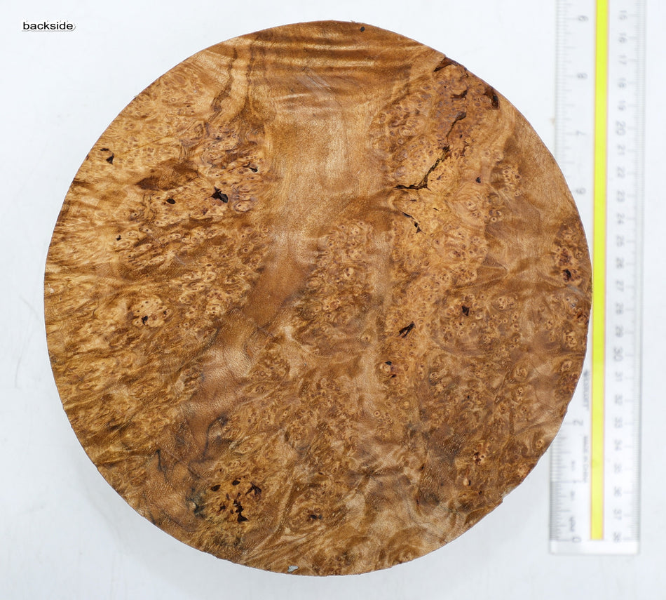 Burl Round 8" diameter x 2.75" (HIGH FIGURE) - Stock# 6-4108