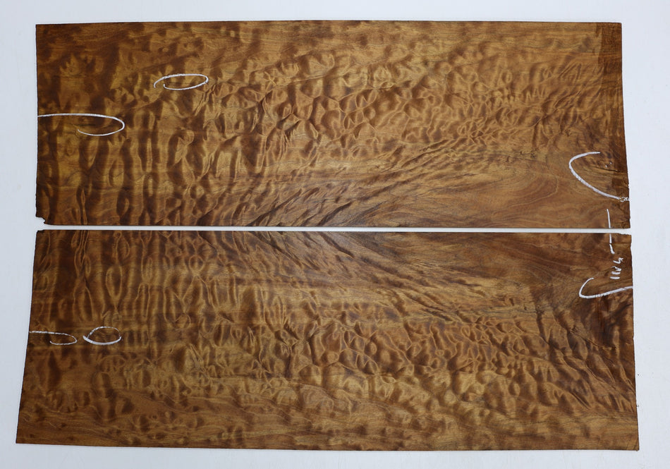 Torrefied Maple Quilt Guitar set, 0.31" thick (GREAT FIGURE, 2nd) - Stock# 6-4111