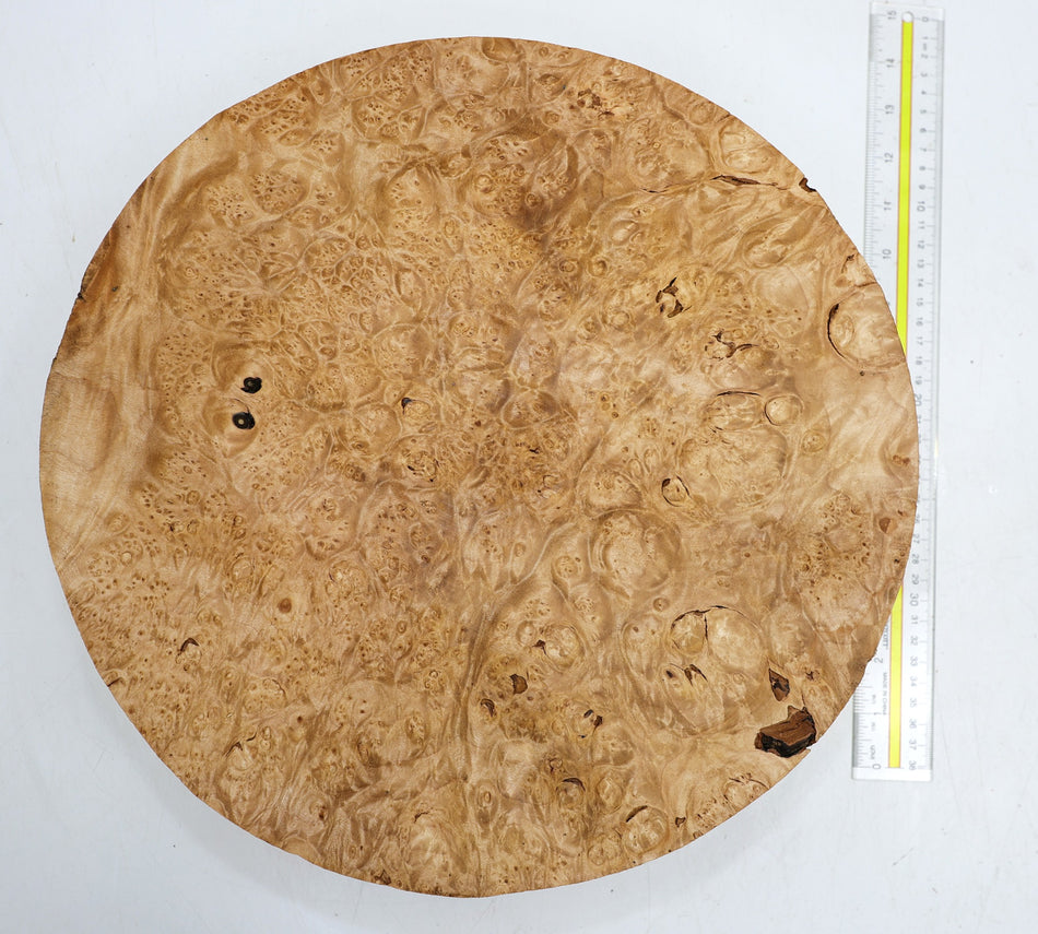 Maple Burl Round 13.5" diameter x 3.25" (PREMIUM FIGURE) - Stock# 6-4125