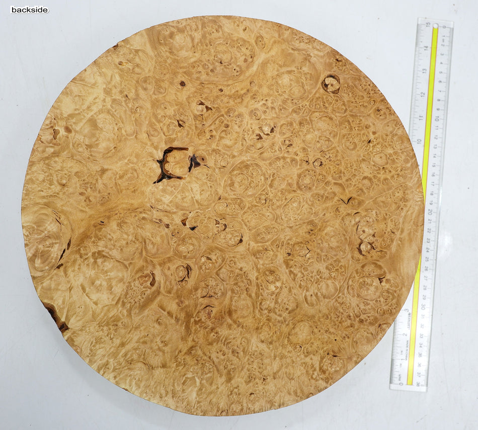 Maple Burl Round 13.5" diameter x 3.25" (PREMIUM FIGURE) - Stock# 6-4125