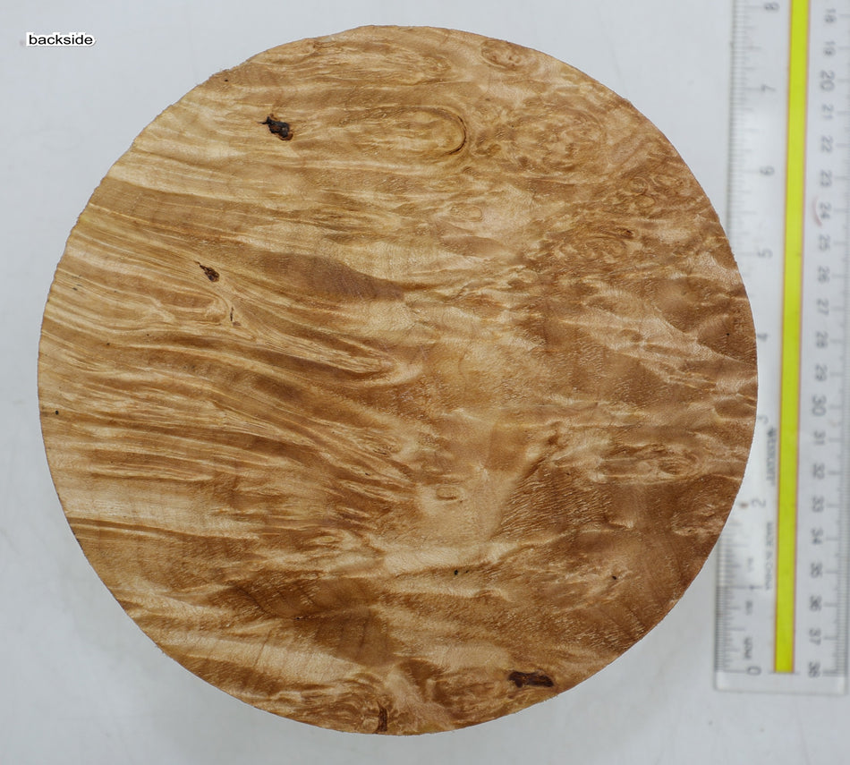 Maple Burl Round 7" diameter x 3.2" (HIGH FIGURE) - Stock# 6-4144
