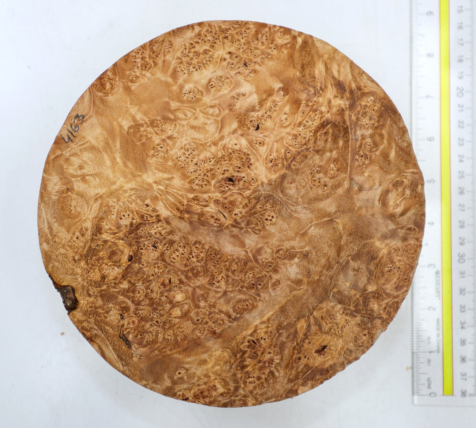 Maple Burl Round 8" diameter x 2.6" (PREMIUM FIGURE) - Stock# 6-4163