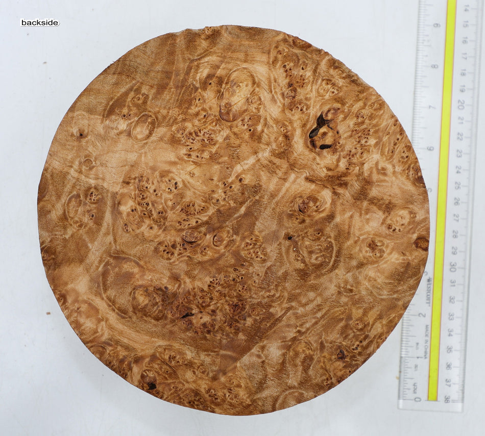 Maple Burl Round 8" diameter x 2.6" (PREMIUM FIGURE) - Stock# 6-4163