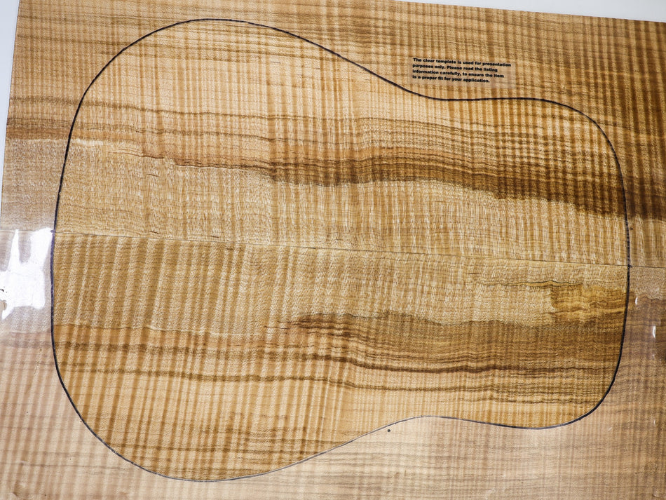 Back & Side set Maple Flame, Dreadnough (HIGH FIGURE) - Stock# 6-4169