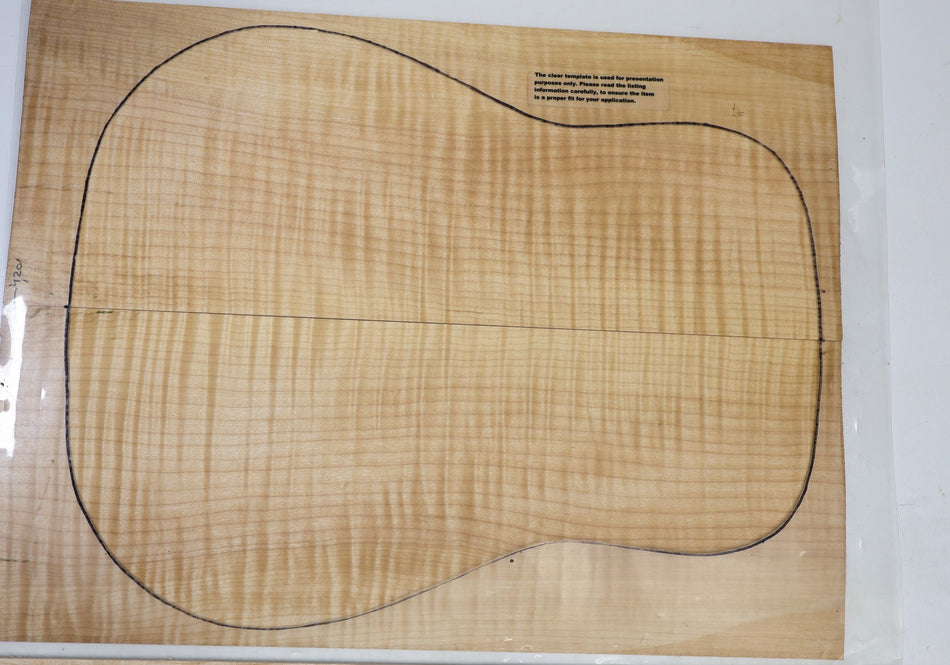 Back & Side set Maple Flame, Dreadnought (+GREAT FIGURE +3★) - Stock# 6-4201