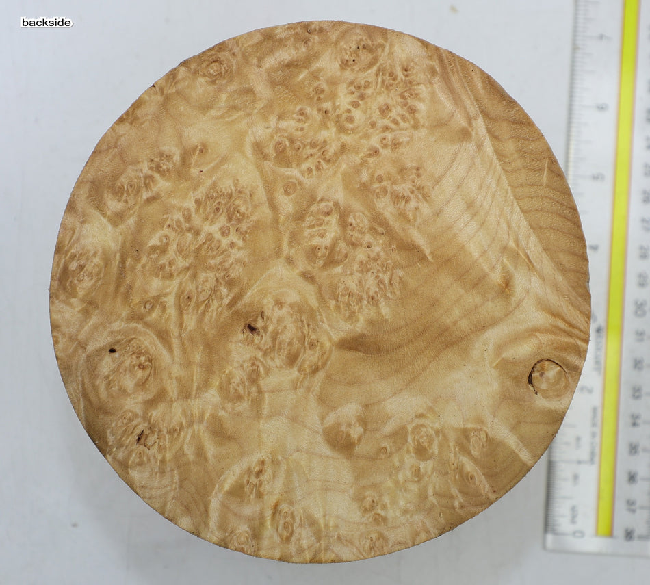 Maple Burl Round 6" diameter x 3.2" (HIGH FIGURE) - Stock# 6-4223
