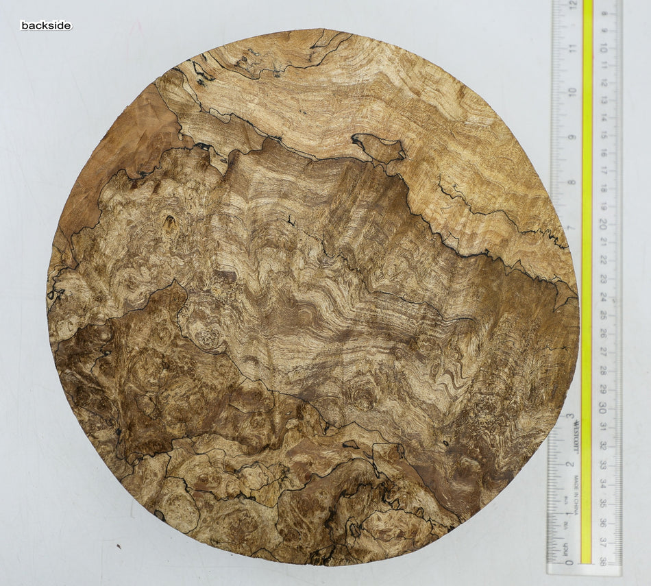Spalted Maple Burl Round 9.5" diameter x 2.8" (HIGH FIGURE) - Stock# 6-4252