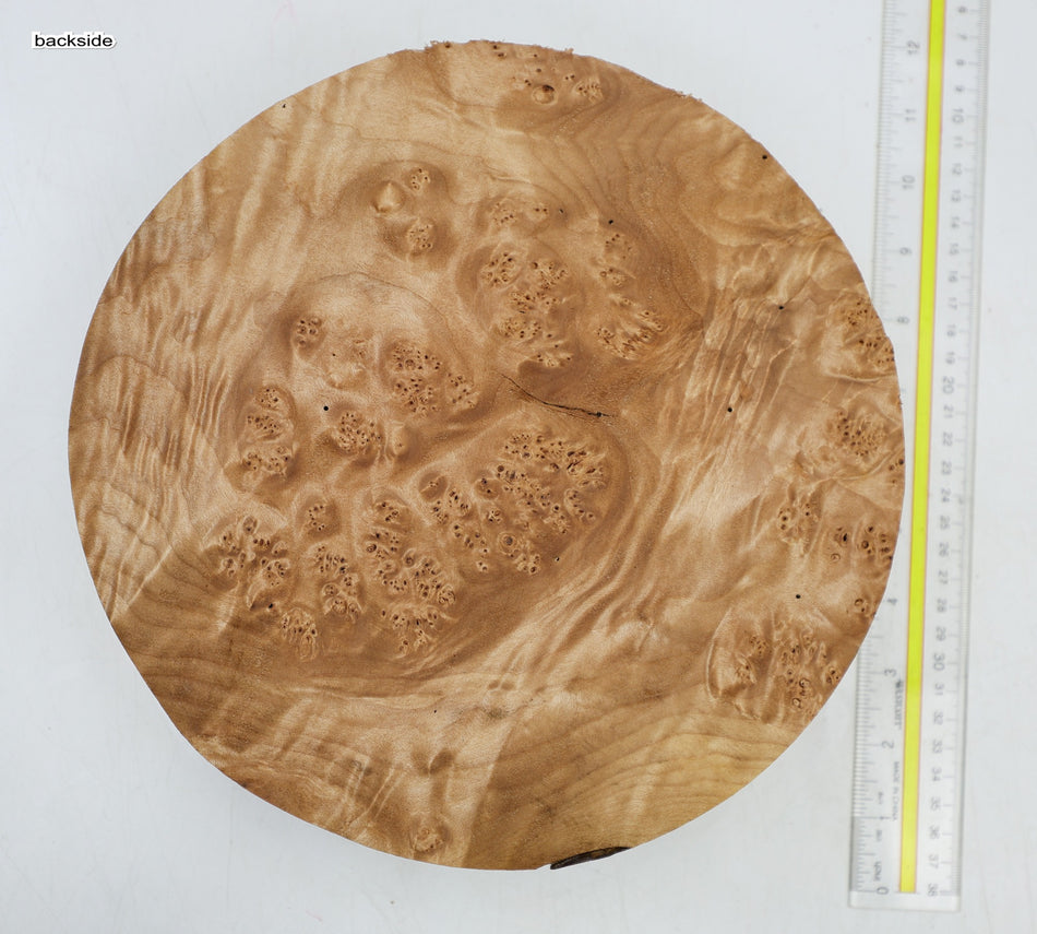 Maple Burl Round 10" diameter x 2.6" (HIGH FIGURE) - Stock# 6-4253