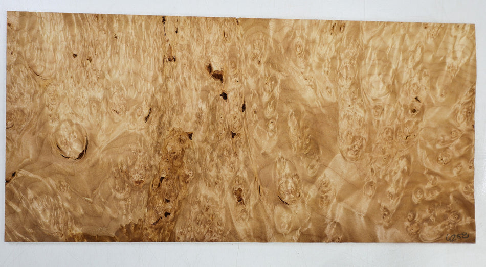 Maple Burl Pickguard, 0.23" x 7" x 15" (HIGH FIGURE) - Stock# 6-4258