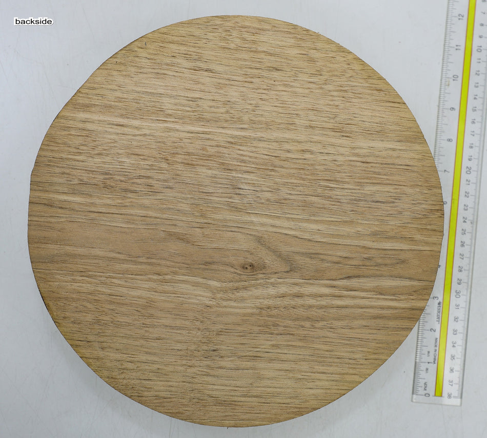 Walnut (Butternut) Round 11" diameter x 3" - Stock# 6-4266