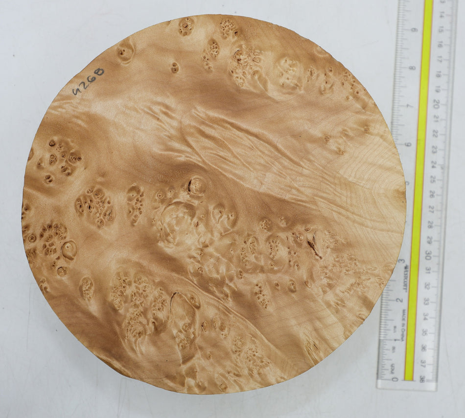 Burl Round 8" diameter x 2.75" - Stock# 6-4268