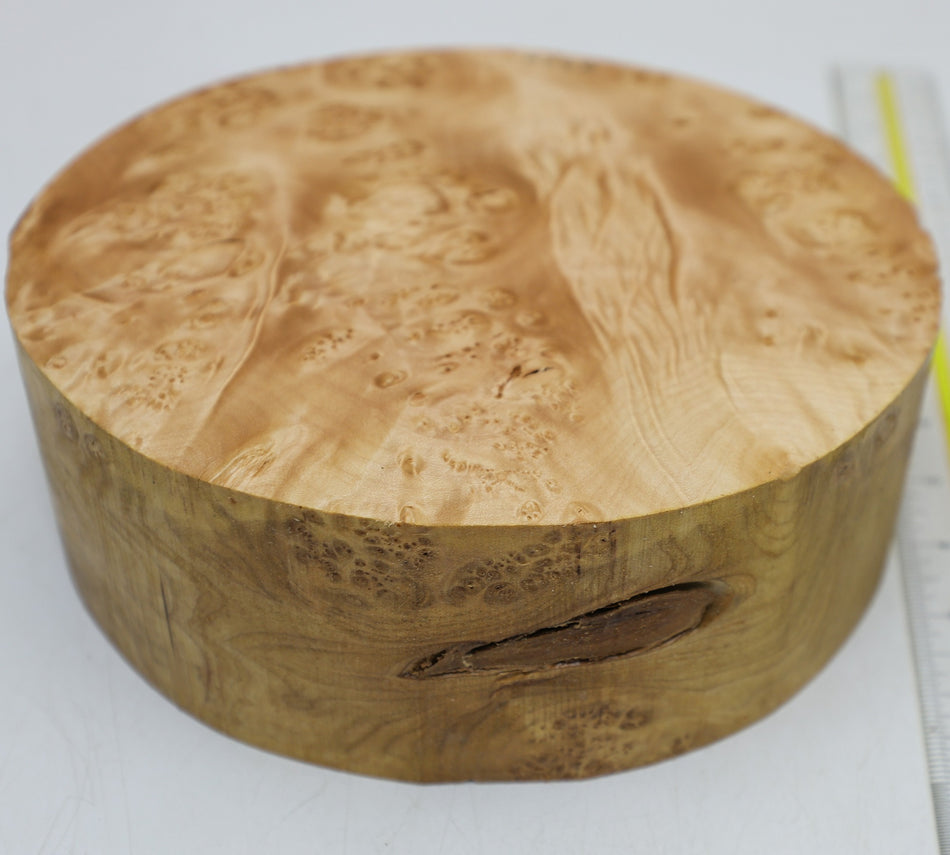 Burl Round 8" diameter x 2.75" - Stock# 6-4268