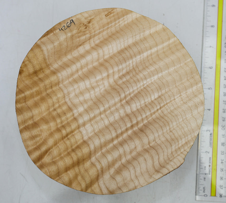 Maple Quilt Round 7" diameter x 3.25" (GREAT FIGURE) - Stock# 6-4269