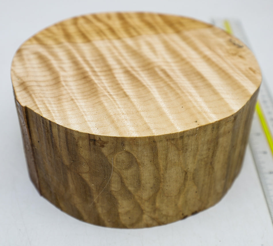 Maple Quilt Round 7" diameter x 3.25" (GREAT FIGURE) - Stock# 6-4269