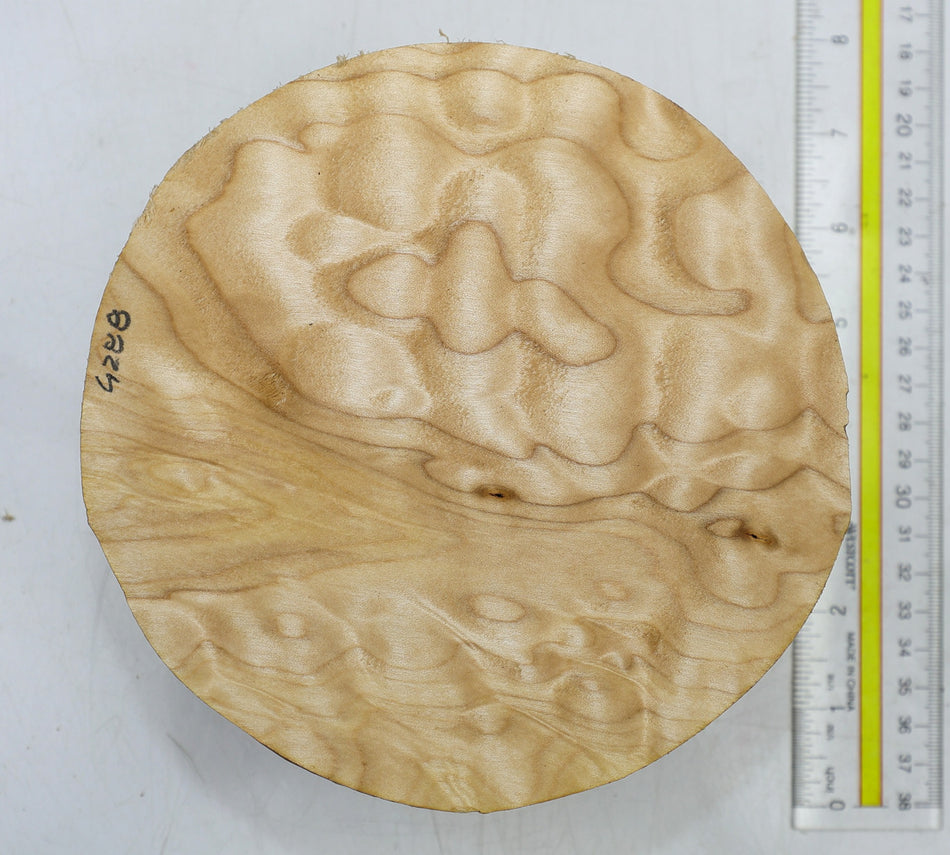 Maple Quilt Round 6" diameter x 3" - Stock# 6-4288