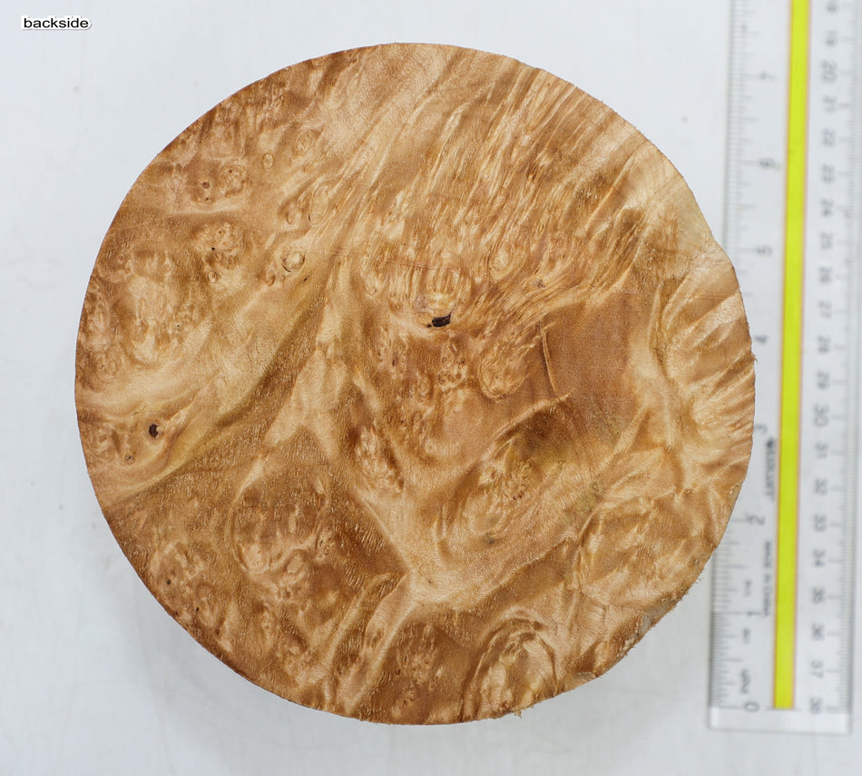 Maple Burl Round 6" diameter x 3.25" (PREMIUM FIGURE) - Stock# 6-4307