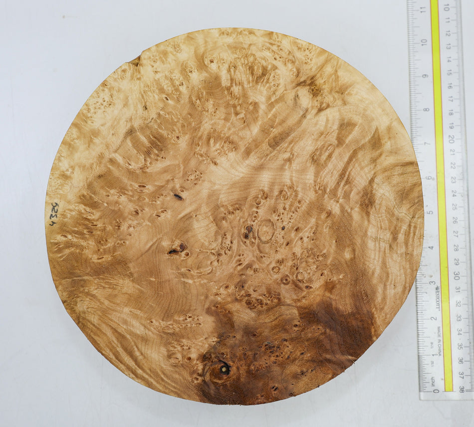 Maple Burl Round 9.5" diameter x 2.6" (Great Figure) - Stock# 6-4325