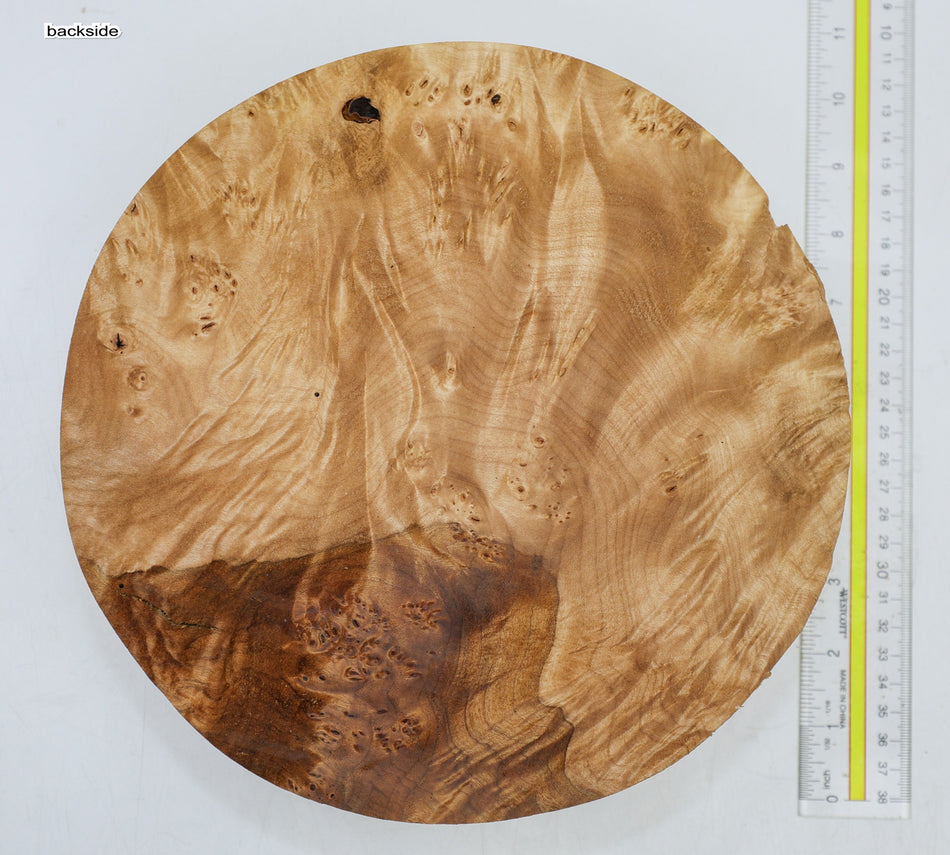 Maple Burl Round 9.5" diameter x 2.6" (Great Figure) - Stock# 6-4325