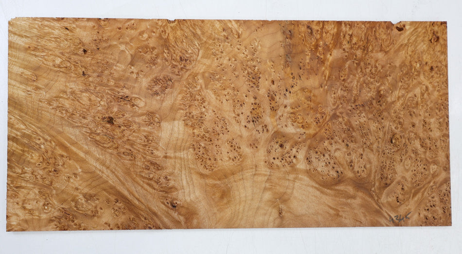 Maple Burl Pickguard, 0.28" x 7.4" x 15.4" (HIGH FIGURE) - Stock# 6-4345