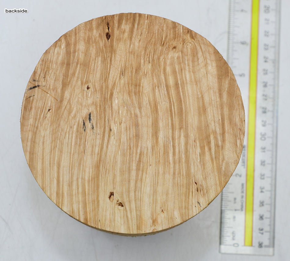 Maple Burl Round 5" diameter x 3.4" (HIGH FIGURE) - Stock# 6-4351