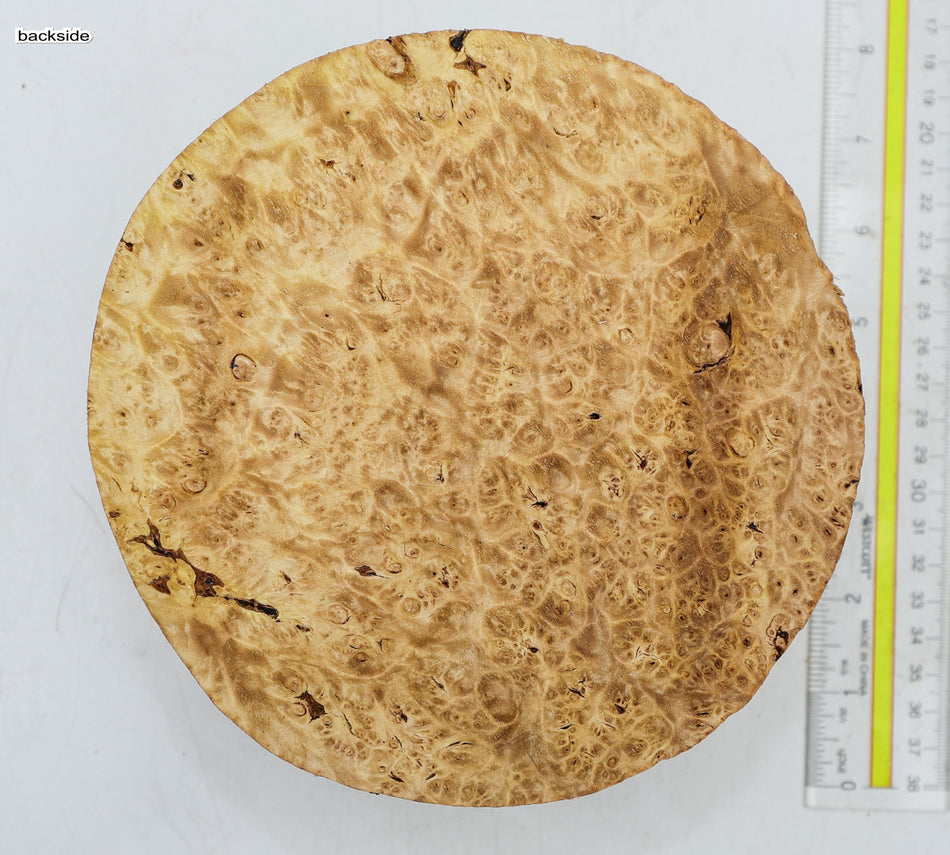 Maple Burl Round 7" diameter x 3.15" (PREMIUM FIGURE) - Stock# 6-4352