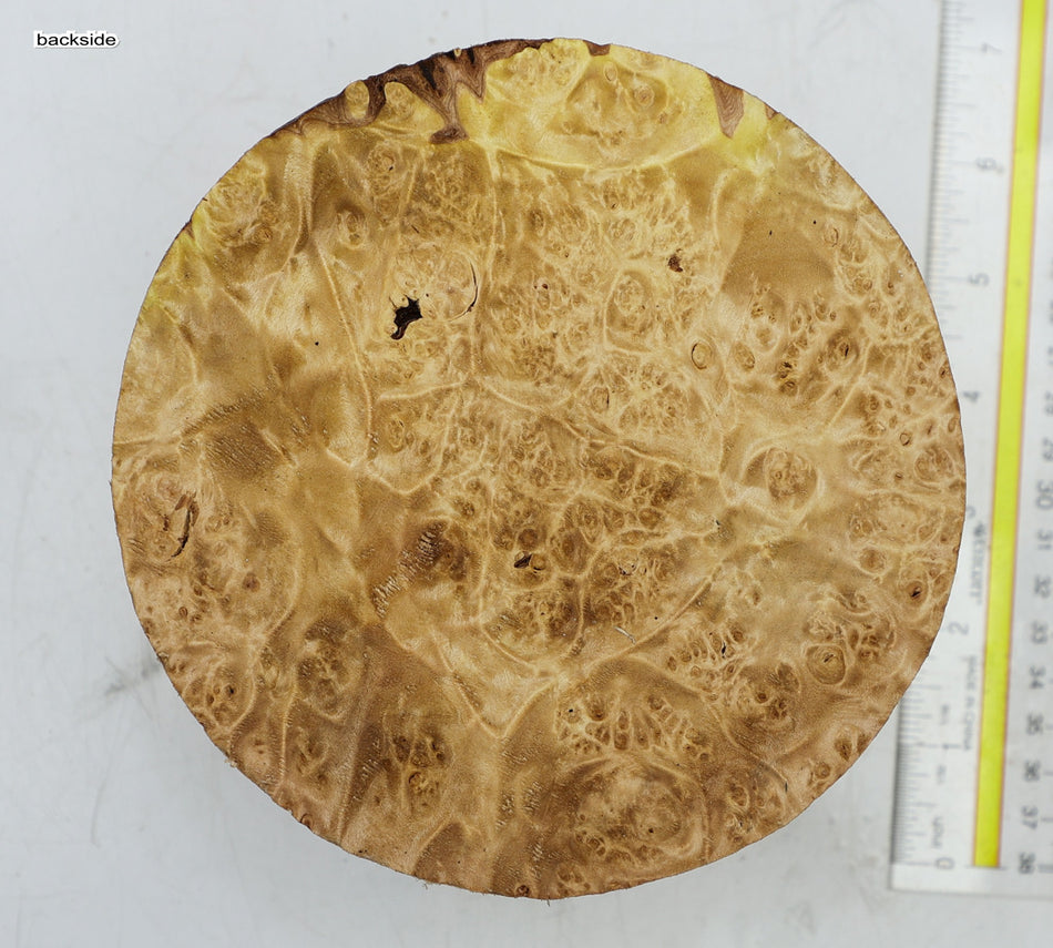Maple Burl Round 6" diameter x 3.25" (PREMIUM FIGURE) - Stock# 6-4366