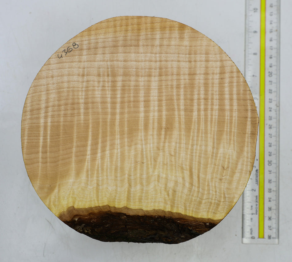 Maple Flame Round 8" diameter x 3.5" (HIGH FIGURE) - Stock# 6-4368