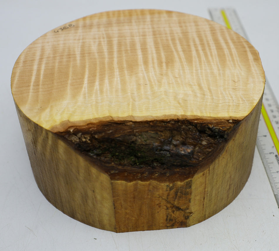 Maple Flame Round 8" diameter x 3.5" (HIGH FIGURE) - Stock# 6-4368